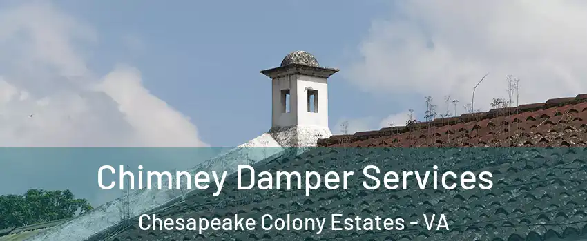 Chimney Damper Services Chesapeake Colony Estates - VA