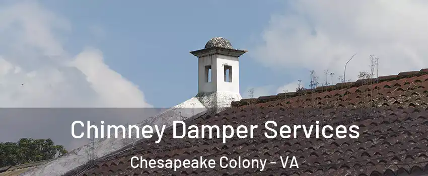 Chimney Damper Services Chesapeake Colony - VA
