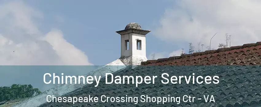 Chimney Damper Services Chesapeake Crossing Shopping Ctr - VA