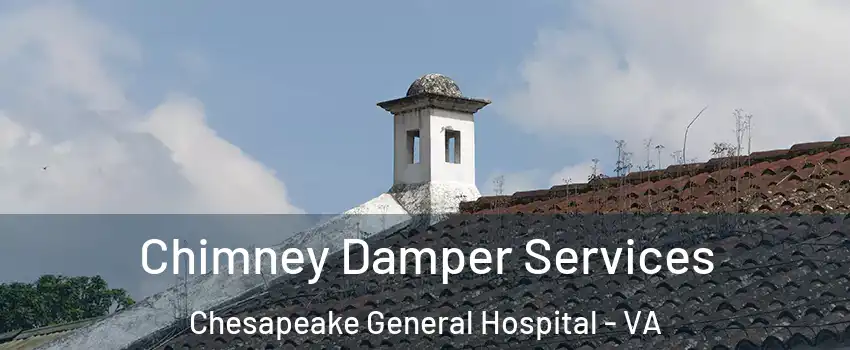 Chimney Damper Services Chesapeake General Hospital - VA