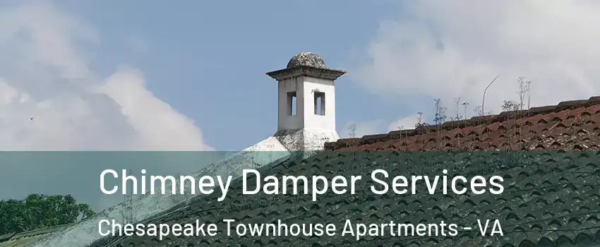 Chimney Damper Services Chesapeake Townhouse Apartments - VA