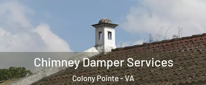 Chimney Damper Services Colony Pointe - VA