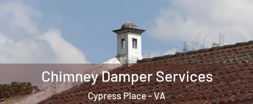 Chimney Damper Services Cypress Place - VA
