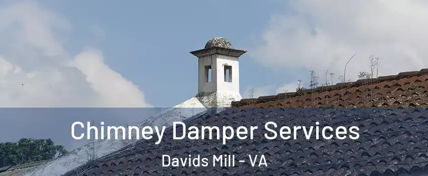 Chimney Damper Services Davids Mill - VA