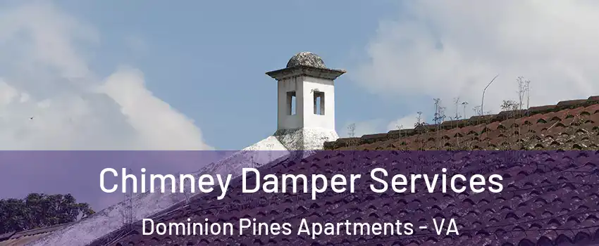 Chimney Damper Services Dominion Pines Apartments - VA