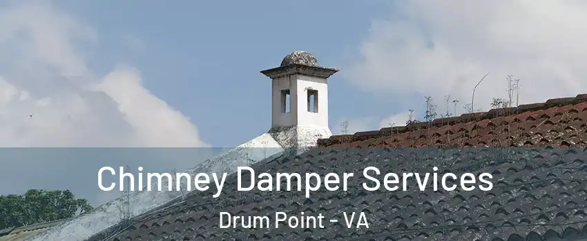 Chimney Damper Services Drum Point - VA