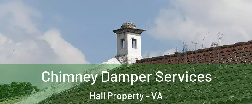 Chimney Damper Services Hall Property - VA