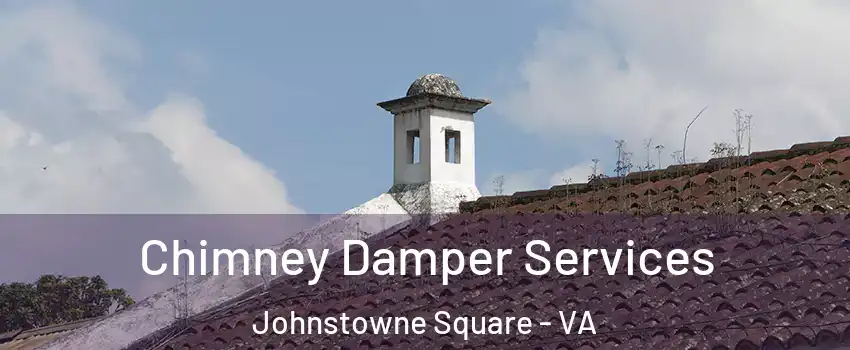 Chimney Damper Services Johnstowne Square - VA