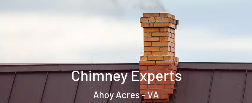 Chimney Experts Ahoy Acres - VA