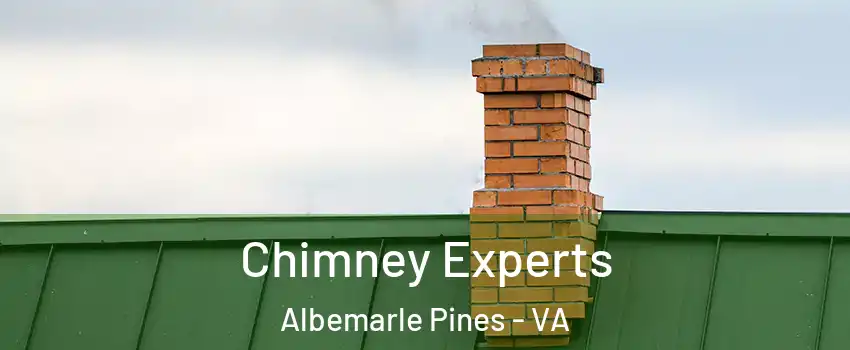 Chimney Experts Albemarle Pines - VA