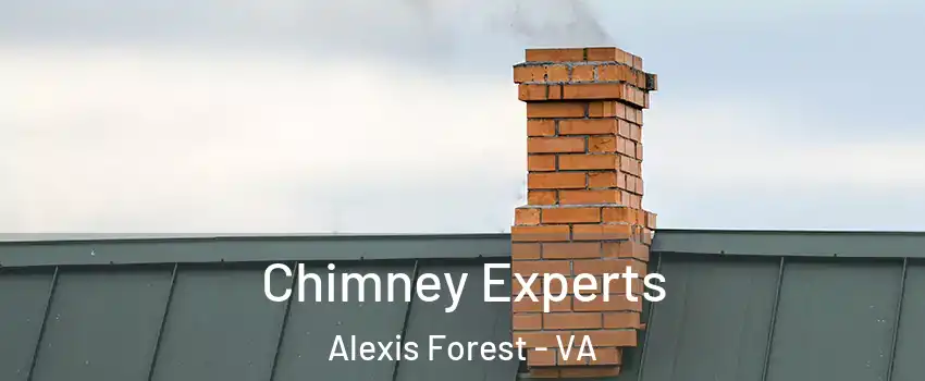 Chimney Experts Alexis Forest - VA