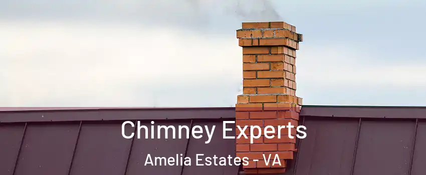 Chimney Experts Amelia Estates - VA