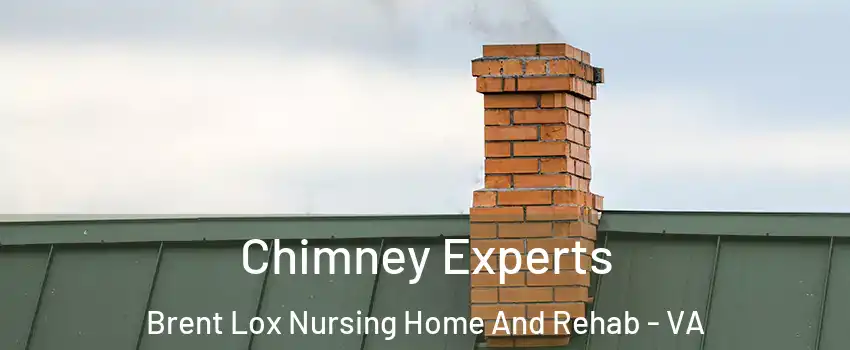 Chimney Experts Brent Lox Nursing Home And Rehab - VA