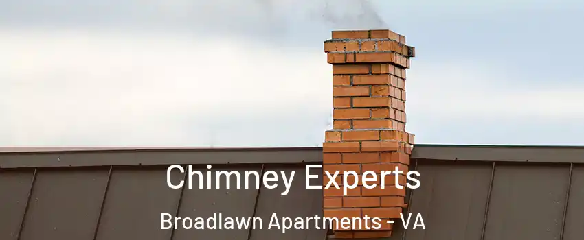 Chimney Experts Broadlawn Apartments - VA