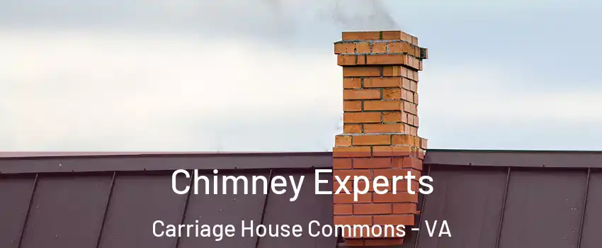 Chimney Experts Carriage House Commons - VA