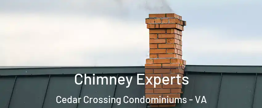 Chimney Experts Cedar Crossing Condominiums - VA