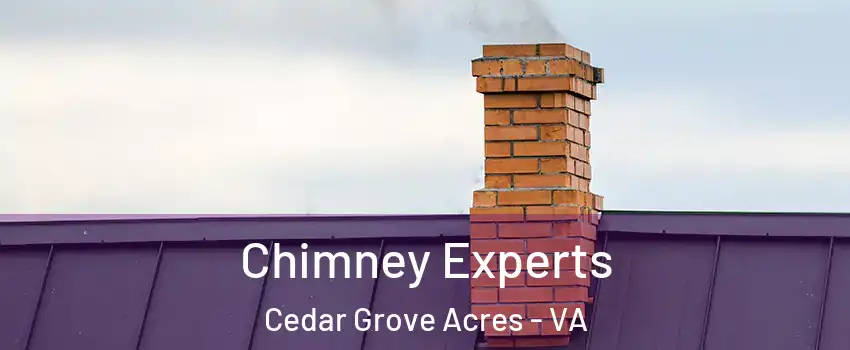 Chimney Experts Cedar Grove Acres - VA