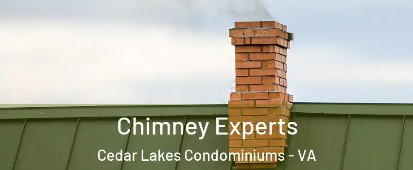 Chimney Experts Cedar Lakes Condominiums - VA