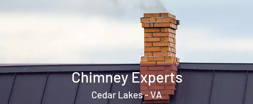 Chimney Experts Cedar Lakes - VA