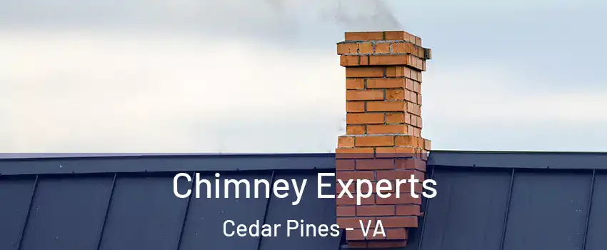 Chimney Experts Cedar Pines - VA