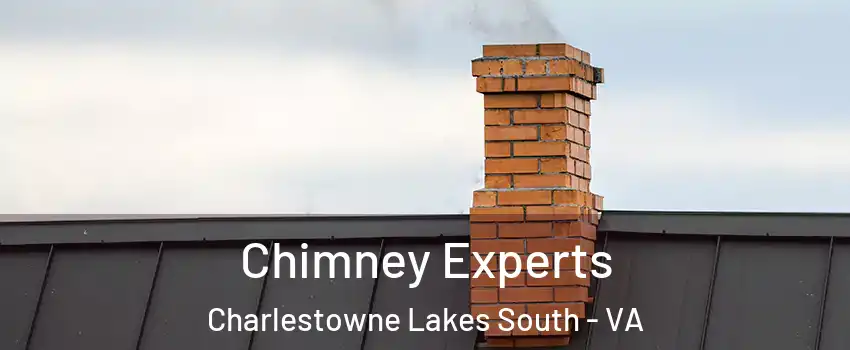 Chimney Experts Charlestowne Lakes South - VA