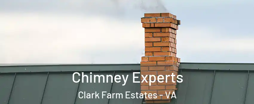 Chimney Experts Clark Farm Estates - VA