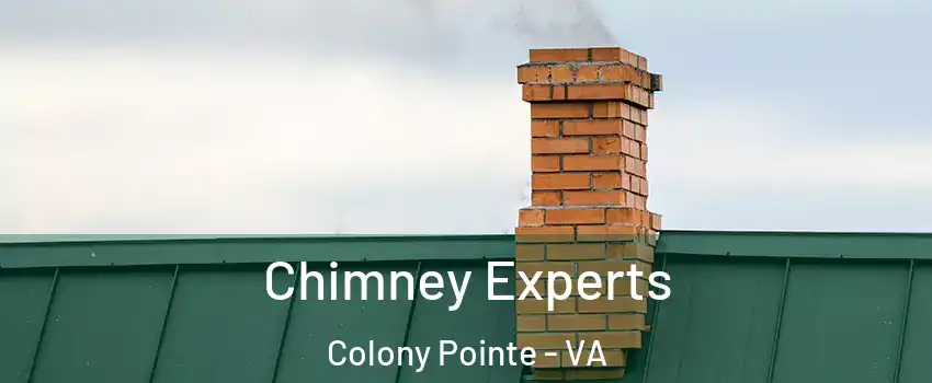 Chimney Experts Colony Pointe - VA