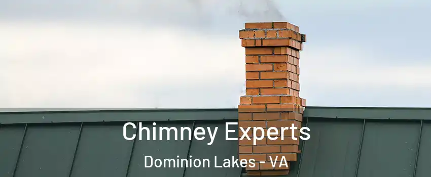 Chimney Experts Dominion Lakes - VA