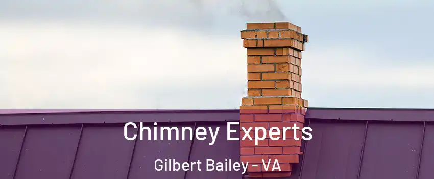 Chimney Experts Gilbert Bailey - VA