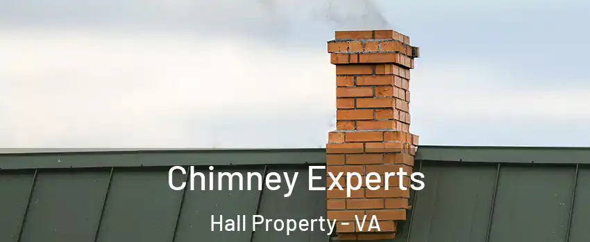 Chimney Experts Hall Property - VA