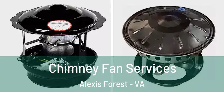 Chimney Fan Services Alexis Forest - VA