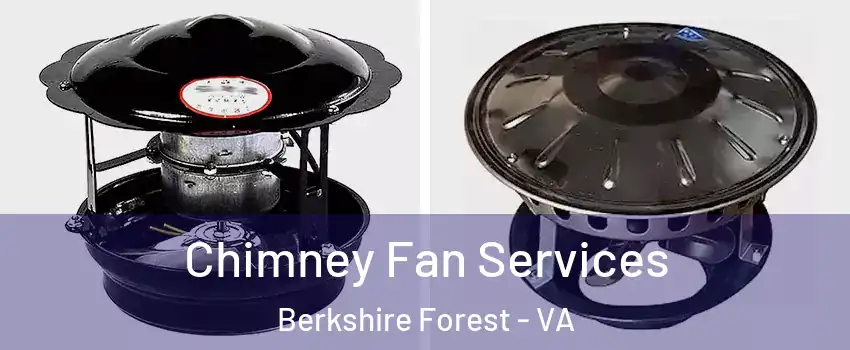 Chimney Fan Services Berkshire Forest - VA