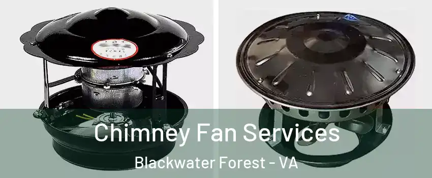 Chimney Fan Services Blackwater Forest - VA
