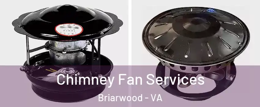 Chimney Fan Services Briarwood - VA