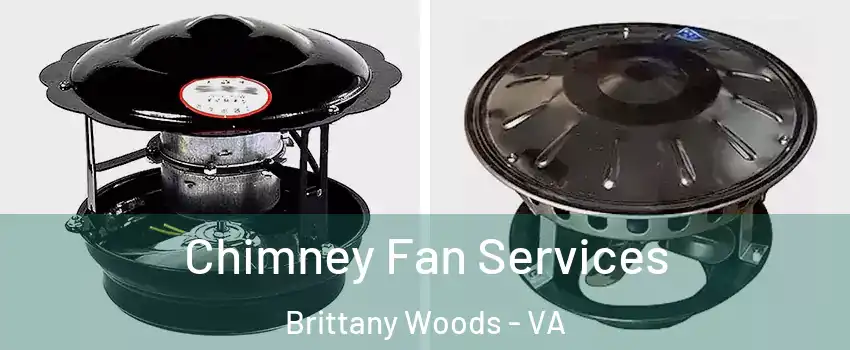 Chimney Fan Services Brittany Woods - VA