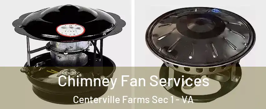 Chimney Fan Services Centerville Farms Sec 1 - VA