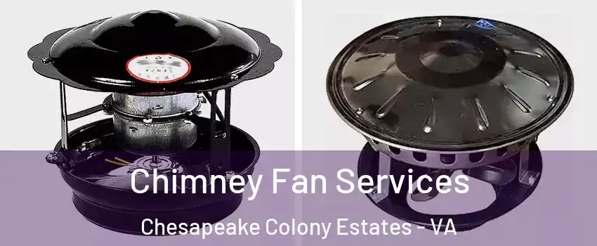Chimney Fan Services Chesapeake Colony Estates - VA