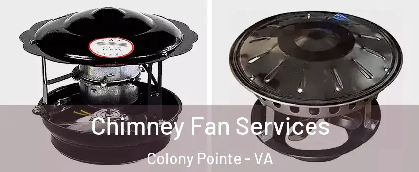 Chimney Fan Services Colony Pointe - VA