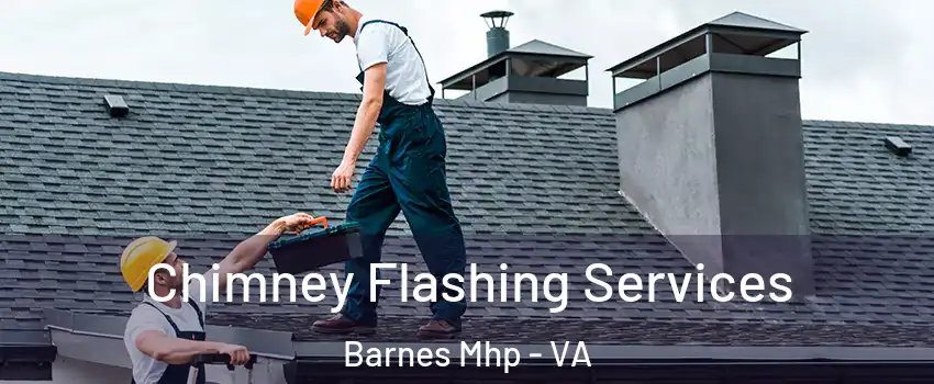 Chimney Flashing Services Barnes Mhp - VA
