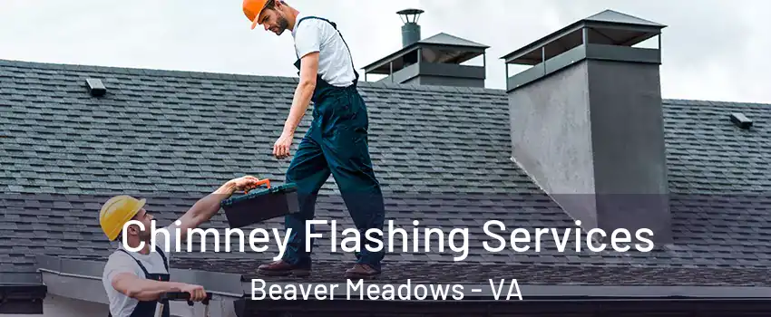 Chimney Flashing Services Beaver Meadows - VA