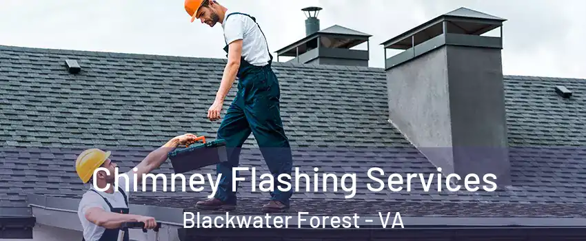Chimney Flashing Services Blackwater Forest - VA