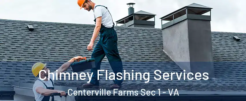 Chimney Flashing Services Centerville Farms Sec 1 - VA