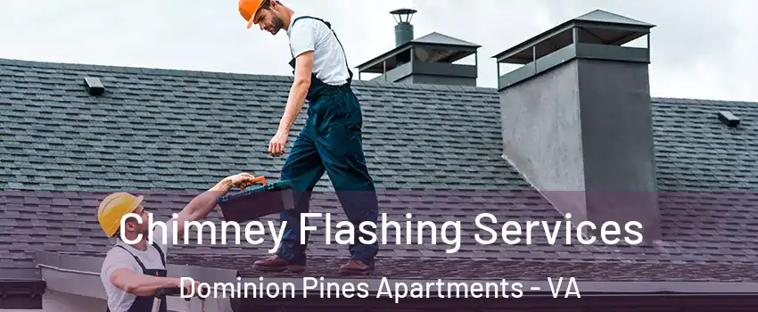 Chimney Flashing Services Dominion Pines Apartments - VA