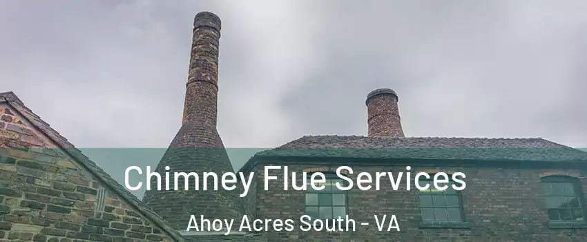 Chimney Flue Services Ahoy Acres South - VA