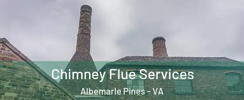 Chimney Flue Services Albemarle Pines - VA