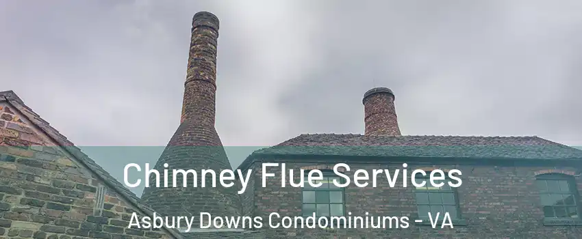 Chimney Flue Services Asbury Downs Condominiums - VA