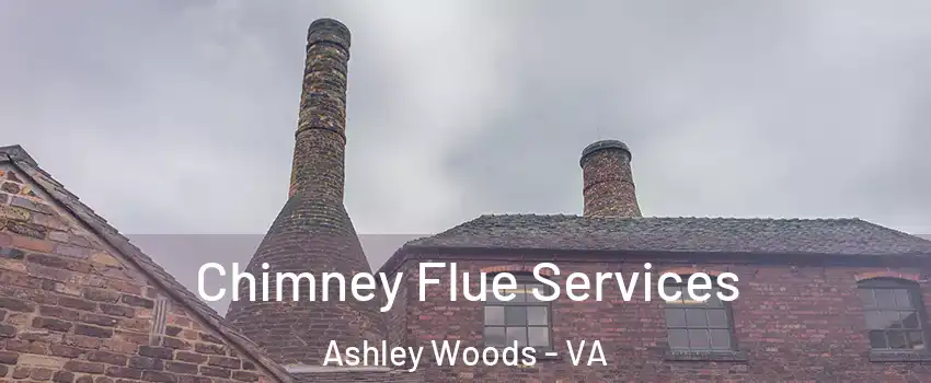 Chimney Flue Services Ashley Woods - VA