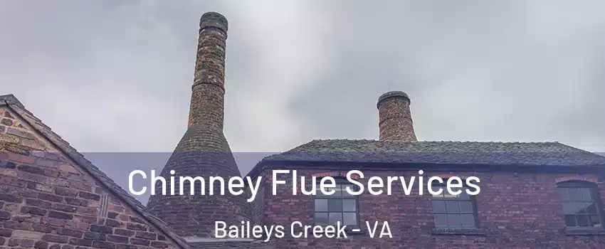 Chimney Flue Services Baileys Creek - VA