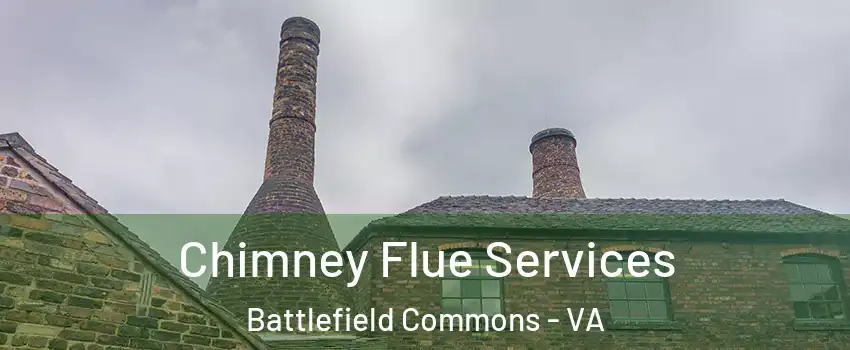 Chimney Flue Services Battlefield Commons - VA