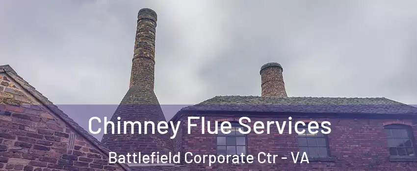 Chimney Flue Services Battlefield Corporate Ctr - VA